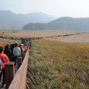 순천만그리고나 이미지