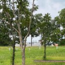 석유화학고등학교(앞) 이미지