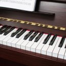 카르디아 이미지