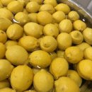 경희대 청람 태권도장 이미지