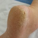 현실민박 이미지