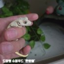 승미슈퍼 이미지