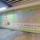 윤정스토어 이미지