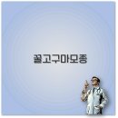 오성농장 | 해남 꿀고구마 모종 가격 심는 시기 방법 베니하루카 재배법 깔끔 정리