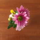 정주민박 이미지