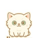 행복한죽집 이미지