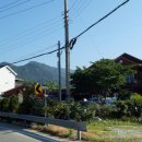 강사랑펜션 이미지