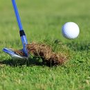 주식회사더골프 이미지