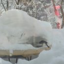 산새농원 이미지