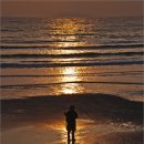 꽃지노을 이미지