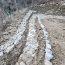 일광농장 이미지