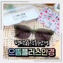 안경공장 나들이 민락점 | 평택 동삭동 안경점 가을 데일리 선글라스 으뜸플러스안경 평택지제동삭점