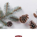 상쾌한 약국 이미지