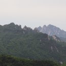 에덴동산 이미지