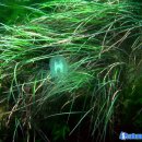 수중산책 이미지