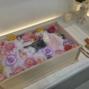 순천 반려동물장례식장 하늘별 이미지