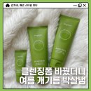 피지 많은 여름 약산성 클렌징폼 추천, 비플레인 녹두 클렌징폼 후기