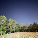 UR(화성시)-중(집)1-2[상리1길]-하-2 | [화성] 중대형견 전용카페? 당장 달려가 화성애견카페 추천!