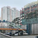 방배우성아파트 106동 gs편의점 앞 횡단보도 | [봉천동] 관악현대vs성현동아 부린이 첫 임장후기