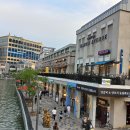 라베니체 5차 이미지