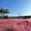 도산민박 | [국내] 안동 1박 2일 효도 여행 | 빵지순례 맘모스제과·그라스원 핑크뮬리 25년 실시간·병산서원...