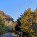 운문골마실길 이미지