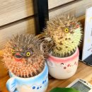 연제구-145 | 부산 시청 복국 맛집 '윤태금복국' 내돈내산 솔직 후기