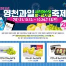 별빛과일