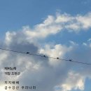 궁노래 이미지