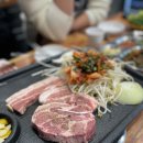 돈돈몽키 이미지