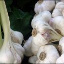 남해스포츠파크인조구장 이미지