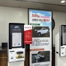 OK카써비스 | 제주도 렌트카 | 제주 ok렌트카 내돈내산 후기