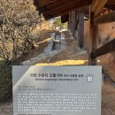 코유(coyu)