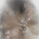 좌화취월 이미지