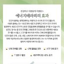 경테라피