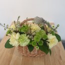 홍성화원 이미지