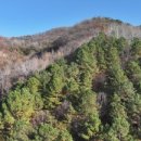 애플부동산공인중개사사무소 이미지