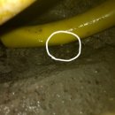 유림-1157 이미지