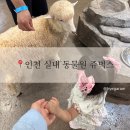 쥬박스 | 서울 근교 아기랑 실내 동물원 추천 | 인천 쥬벅스 방문 후기