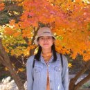 나를 따르라~*^^* 이미지