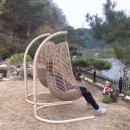 고미재펜션 이미지