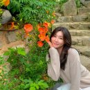 소양민박 이미지