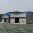 도산무청영농조합법인 이미지