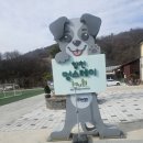 쌍백면 | 경남 합천 애견동반 여행 합천 멍스테이 강아지 놀이터 경남애견동반카페