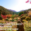 숲속풍경 이미지