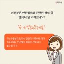 하단 안전벨트 이미지