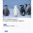 명선스시 | 그대만의 내가 미워요