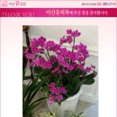 은세약국 이미지