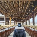 김밥도령 우동낭자 이미지