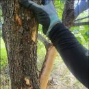 느릅농장 이미지